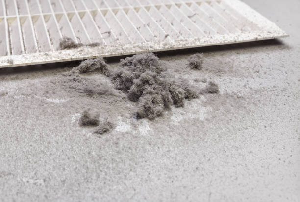 Best HVAC System Cleaning  in Rlsbad, CA