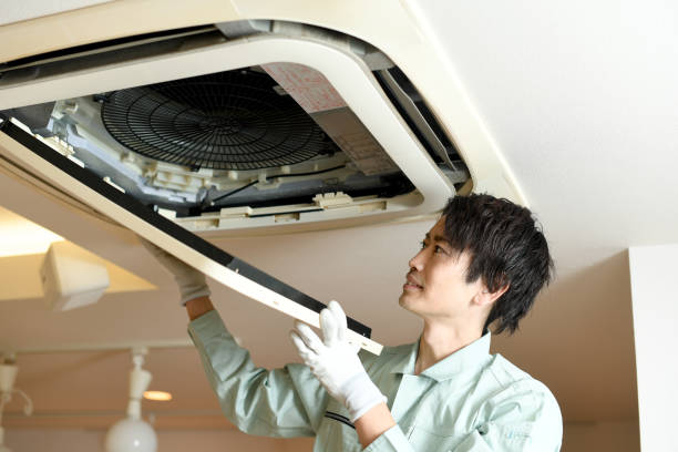Best Home Air Vent Cleaning  in Rlsbad, CA
