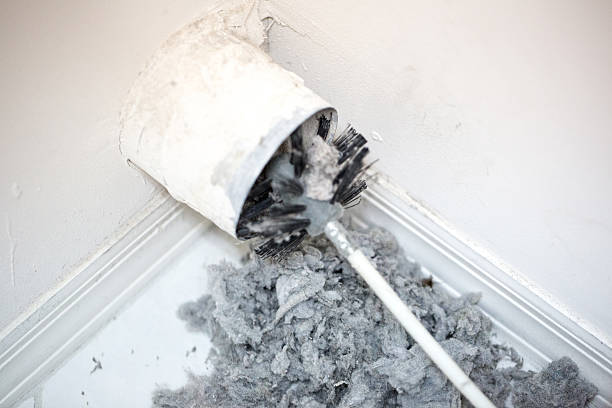 Best Air Duct Cleaning Near Me  in Rlsbad, CA