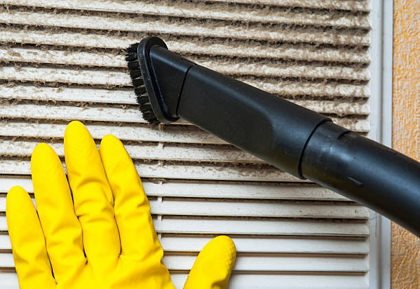 Best Professional Duct Cleaning Services  in Rlsbad, CA